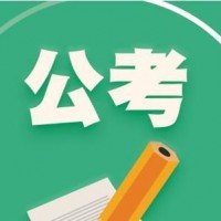 公考专辑